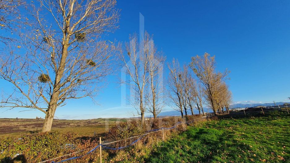 Teren 11,800 mp Șelimbăr | Zona Bungard - Poză 2