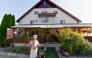 PENSIUNEA EVRICA - COSTESTI - HOREZU - VALCEA - Poză 7