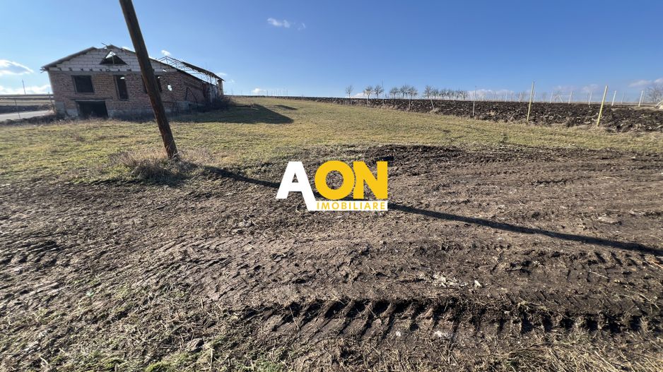 2,314 Mp in Daia Romana, toate utilitatile la asfalt, 80ml deschidere - Poză 10