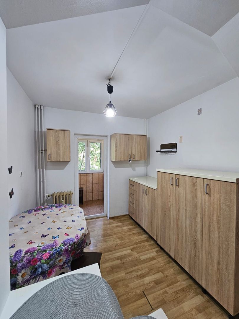 Apartament 2 camere- Lapus - Poză 7