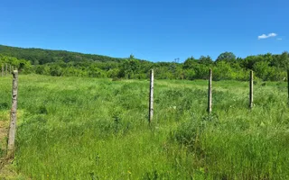 Casă individuală 4 camere de vânzare Băiculești Argeș Zona Rurală - Poză 15