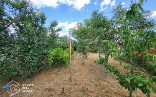 Casa P+M, sat Neudorf - Poză 24