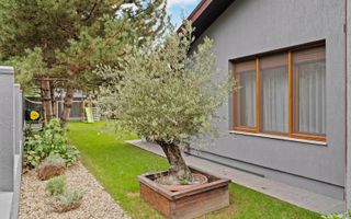 Vila premium 6 camere, ultrafinisata, cu piscină|Pipera-Iancu Nicolae - Poză 23