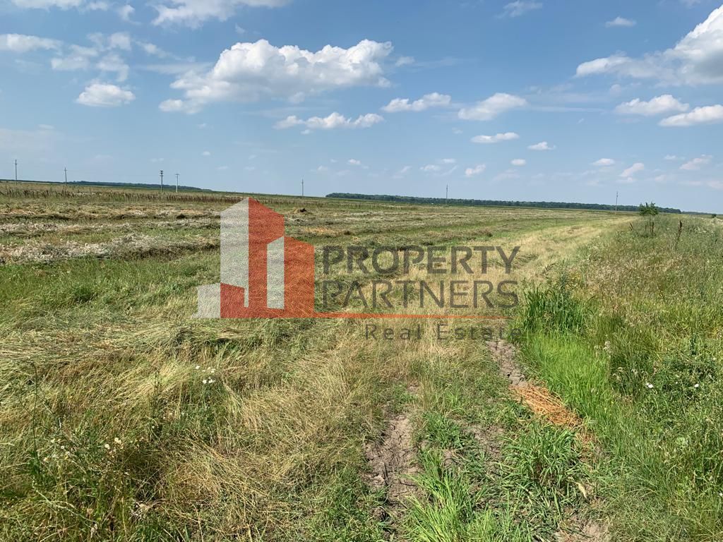 Teren pentru investitii rezidentiale, Moara Vlasiei, Caciulati, A3 - Poză 3