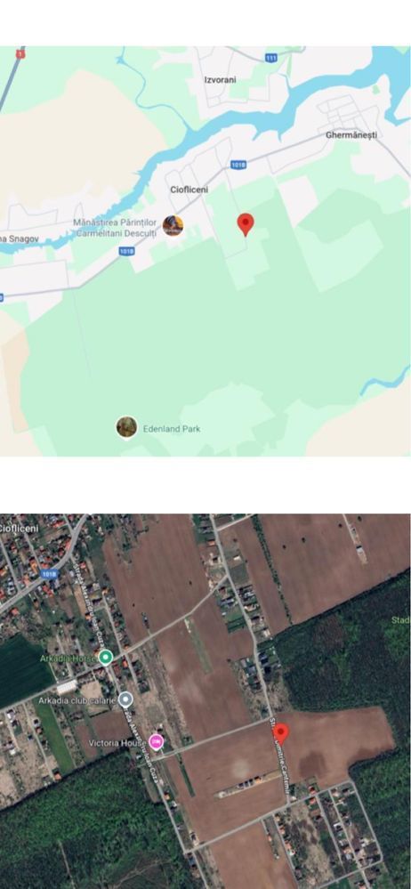 Lot 800 mp teren Ciofliceni Snagov - Poză 2