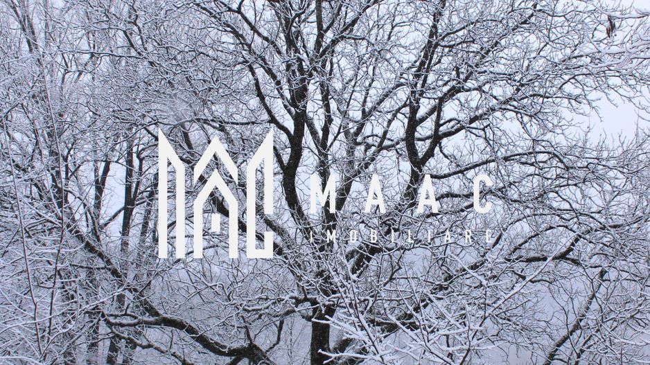 Teren cu izvor de apă minerală  Dangești, Punctul Valea Mare - Poză 32