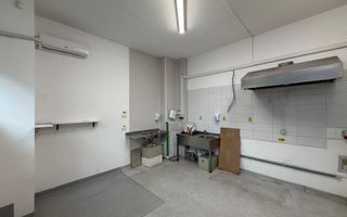 INCHIRIERE SPATIU COMERICAL | PARTER | TRAFIC INTENS | MAGHERU | 53MP - Poză 8