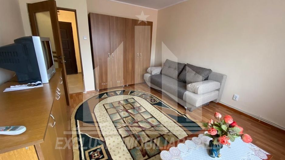 Apartament cu o camera in Cetate - Poză 1